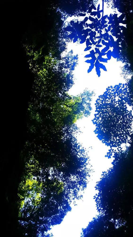 三少爷的剑