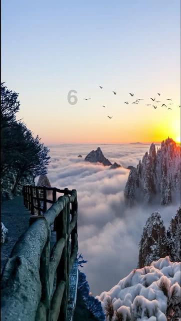 奥斯卡红毯秀